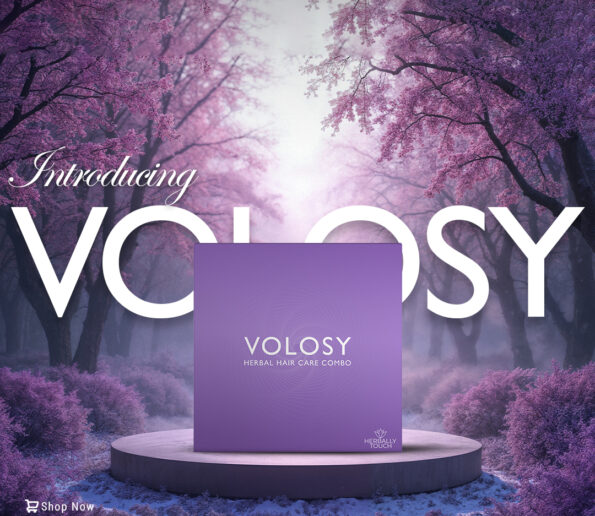 VOLOSY BOX CREATIVE POSTER 01 copy 595x516